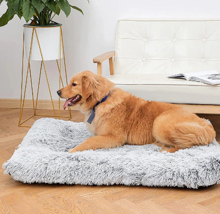 Wave Memory Foam Bed for Ultimate Pet Comfort