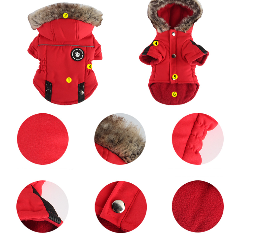 Winter Jacket — Warmth for Your pets!