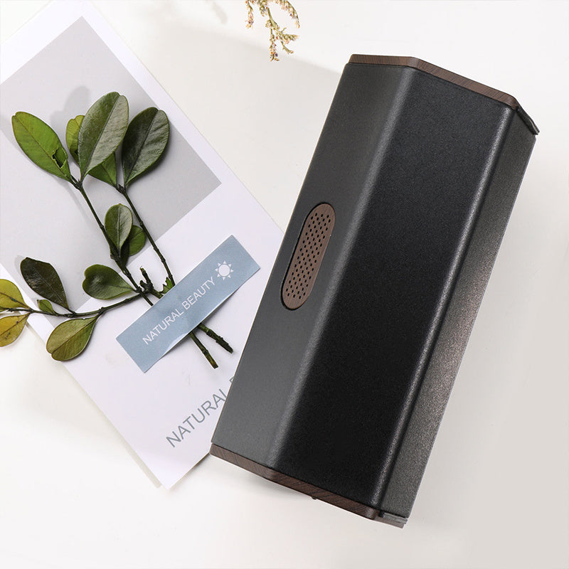 FreshRide Air Purifier — Odor-Free Drives Ahead!