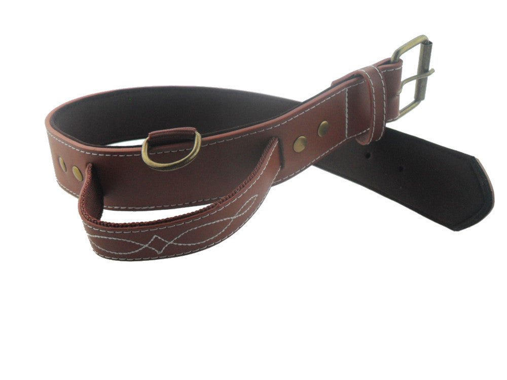 AlphaStrap Heavy-Duty Dog Collar – Built for Big Dogs, Loved by Owners