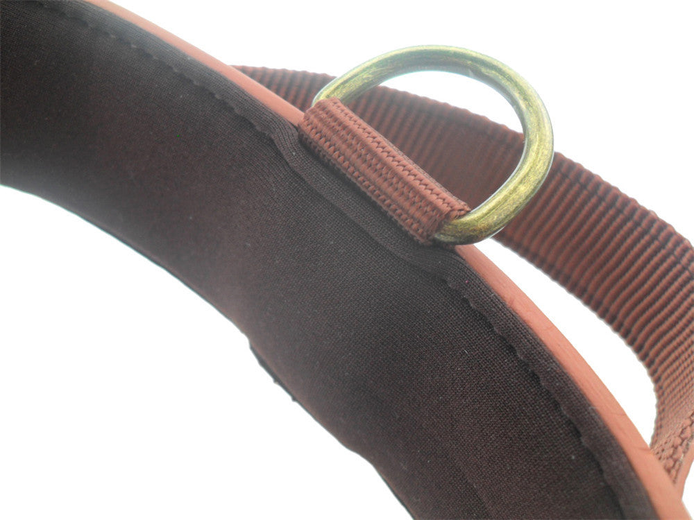 AlphaStrap Heavy-Duty Dog Collar – Built for Big Dogs, Loved by Owners