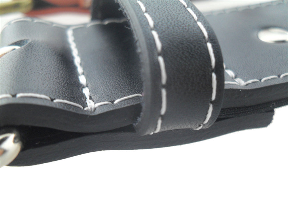 AlphaStrap Heavy-Duty Dog Collar – Built for Big Dogs, Loved by Owners