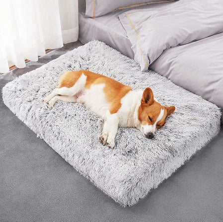 Wave Memory Foam Bed for Ultimate Pet Comfort