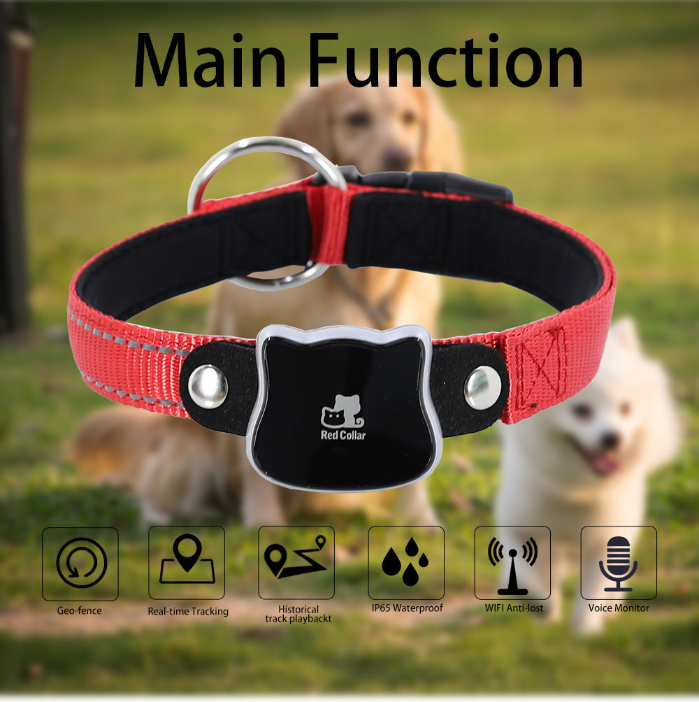 Pet Guard Tracker Collar — Peace of Mind for Every Walk!