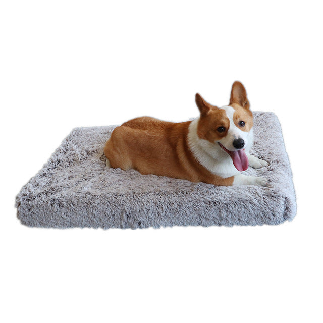 Wave Memory Foam Bed for Ultimate Pet Comfort